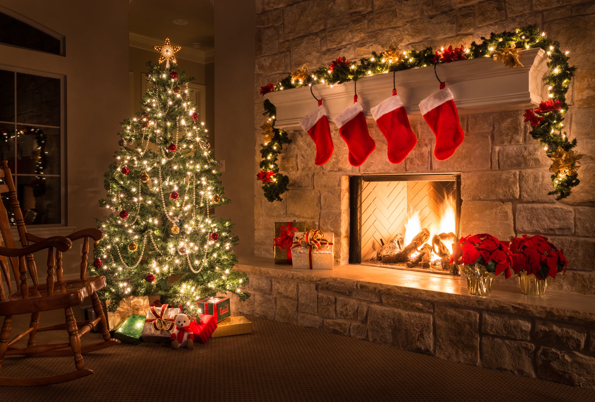 Christmas Traditions: Christmas Trees