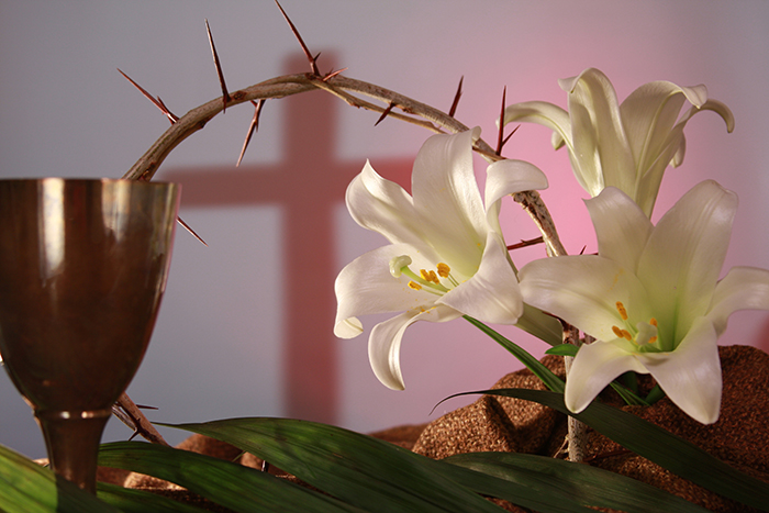 easter-lilly